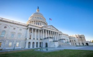 Nfib Names Elizabeth Parks Vp