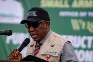 Nigeria Destroys Illicit Arms
