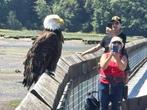 Nisqually Wildlife Refuge Offers Scenic Trails