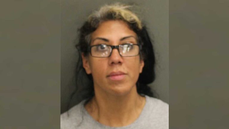 Ny Border Agent S Wife Faces Charges