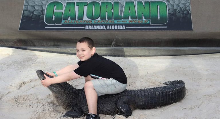 Ny Boy With Autism Enjoys Fl Theme Park Trip
