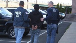 Nypd Cops Can Contact Ice Directly