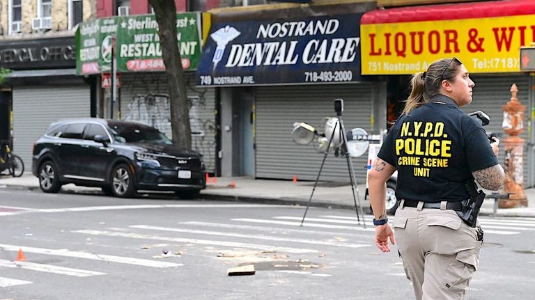 Nypd Detective Children Shot In Brooklyn