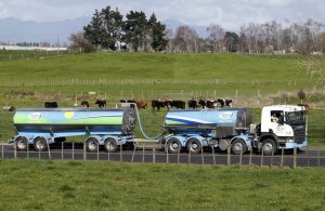 Nz Dairy Giant Cuts Milk Price Forecast
