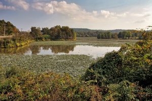 Ohio Earns 314 Million From Fracking On State Lands
