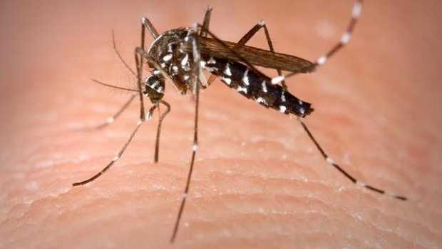 Ohio Mosquito Activity Surges