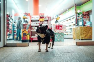 Ohio Pet Store Reform Legislation