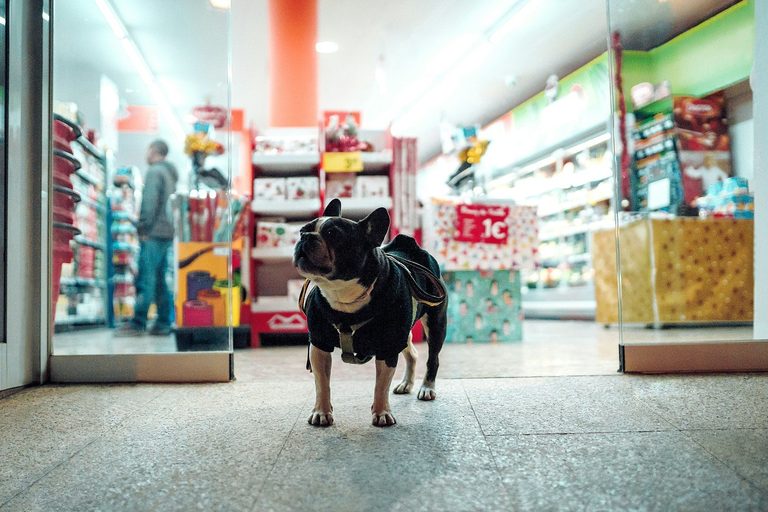 Ohio Pet Store Reform Legislation