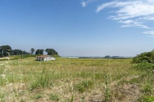 Oregon Governor Blocks Data Center Land Deal