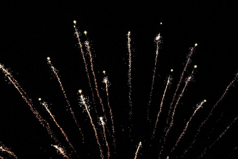 Palm Beaches Treasure Coast Celebrate America S 250Th