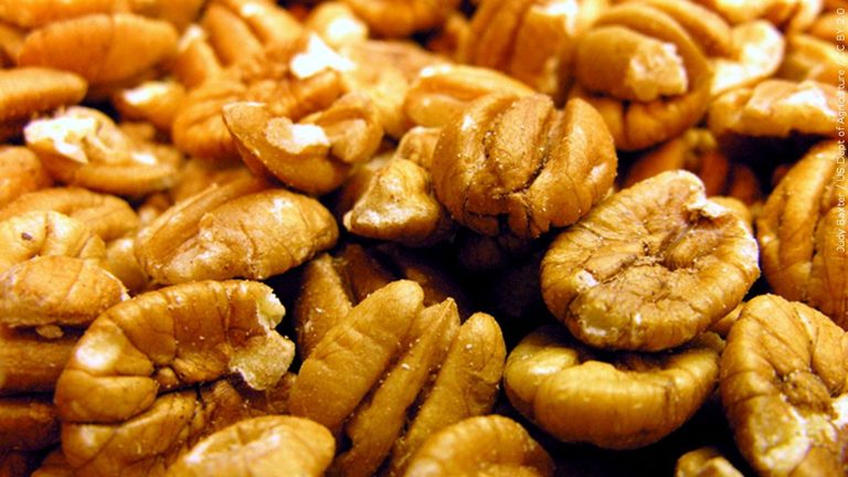 Pecan Shelling Facility Coming To Colorado Springs