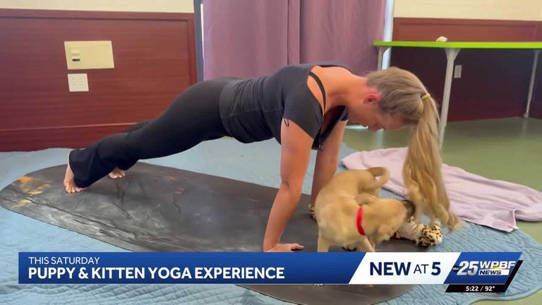 Peggy Adams Hosts Puppy And Kitten Yoga