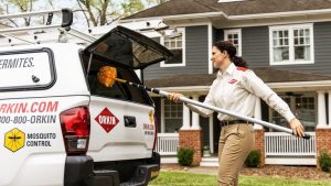 Pest Control Experts Share Early Warning Signs
