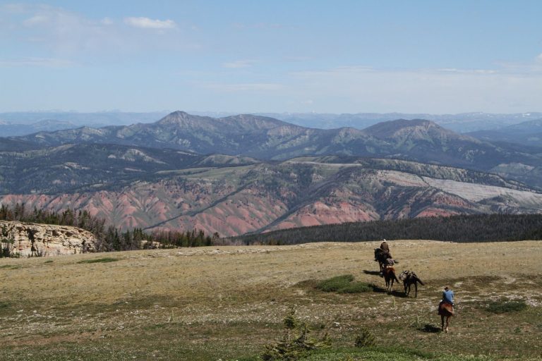 Hogsback Trail (Horse Gulch Open Space) — Durango