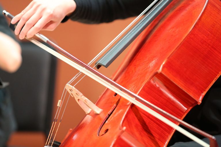 Warren Symphony Orchestra at Macomb Center for the Performing Arts — Warren
