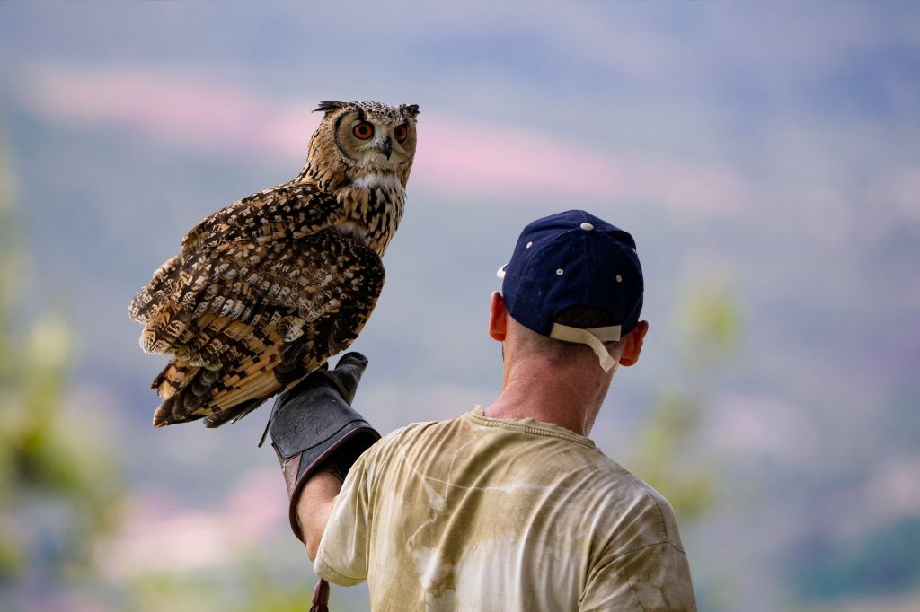 Owl Creek Raptor Rehab & Education Center — Fort Wayne