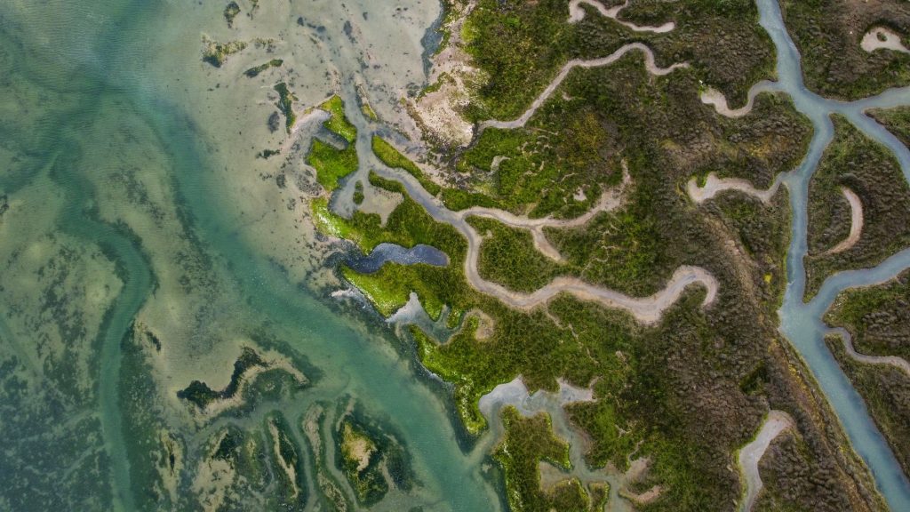 Tidal Creek Fly Fishing – Georgetown's Winyah Bay Flats — Georgetown