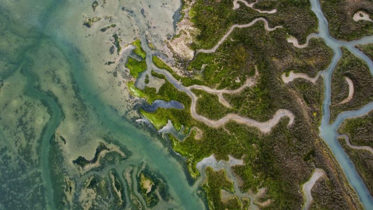 Tidal Creek Fly Fishing – Georgetown's Winyah Bay Flats — Georgetown