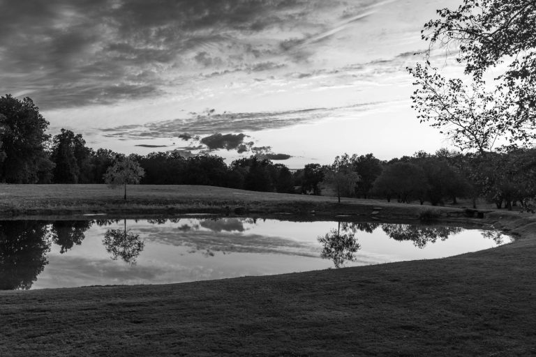 Litchfield Plantation — Georgetown
