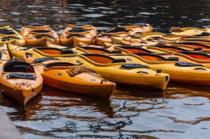 Winyah Bay Heritage Festival & Ghost Fleet Kayak Exploration — Georgetown