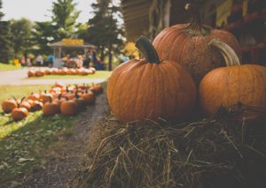 Sterritt's Farm Market — Warren