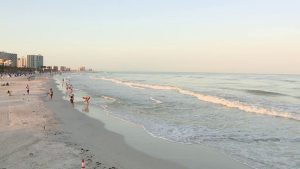 Pinellas County Sees Record 36M Spring Tax Collection