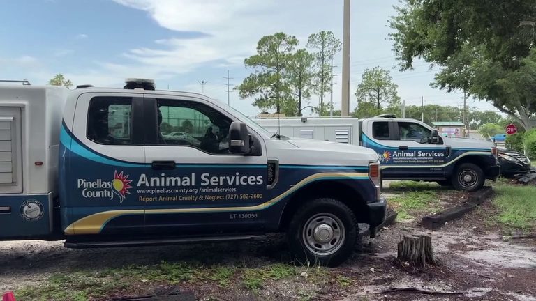Pinellas County Warns Of Scammers Posing As Animal Control