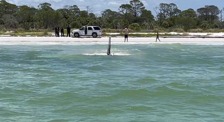 Plane Makes Emergency Landing Near Dunedin Beach