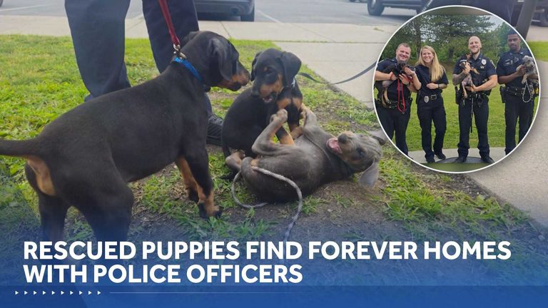 Police Officers Adopt Rescued Puppies