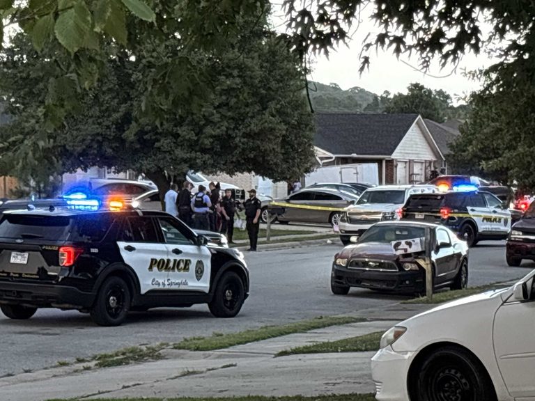 Police Presence In Springdale Neighborhood