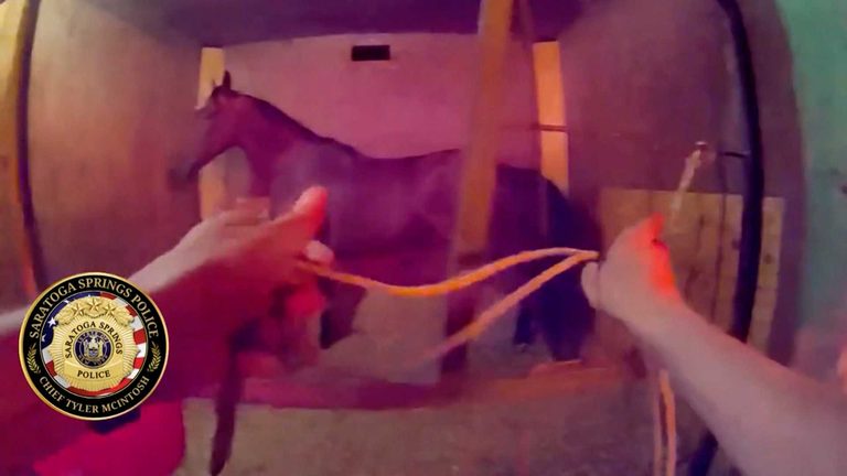 Police Rescue Horses From Racetrack Fire