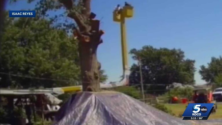 Ponca City Tree Trimmers Survive 45 Foot Fall