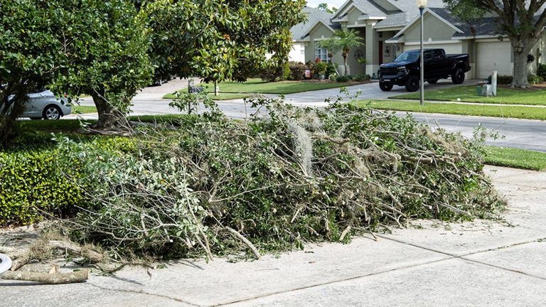 Protect Home From Disasters