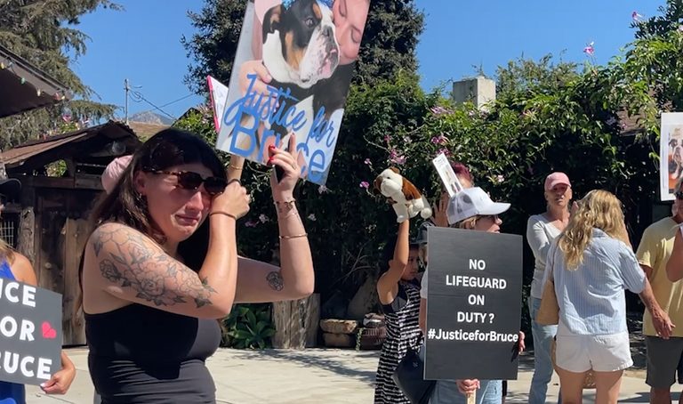 Protesters Demand Answers After Dog S Drowning Death