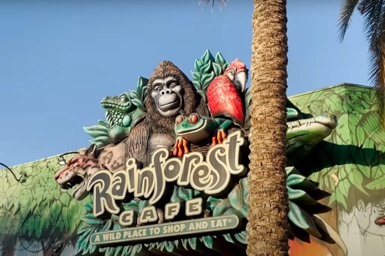 Rainforest Cafe Down To 16 Us Locations