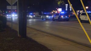 Raleigh Pedestrian Crash