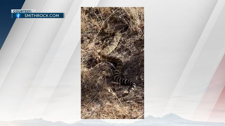 Rattlesnake Spotted At Smith Rock State Park