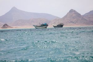 Red Sea Shipping Disrupted
