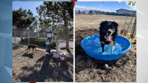 Redmond S First Private Sniffspot Opens