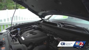 Remove Musty Smell From Car