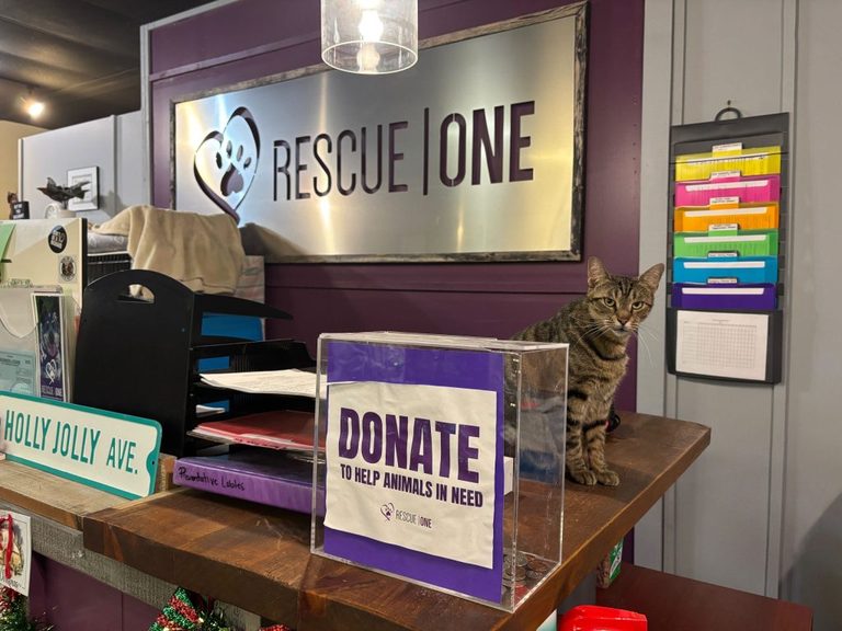 Rescue One Raises Funds For New Republic Facility