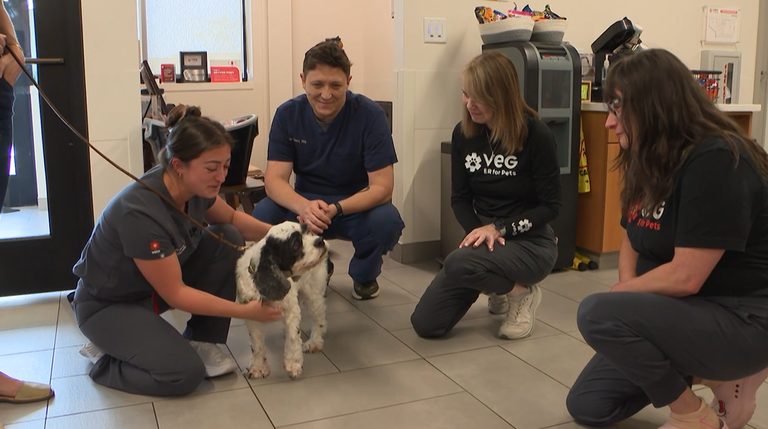 Rescuers Celebrate Mr Pickles Recovery