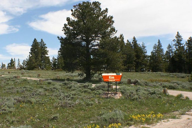 Rim Campground Near Casper Closed Due To Bear Activity