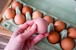 Salmonella Outbreak Tied To Eggs Sickens 98