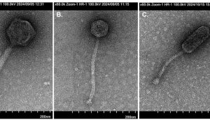 San Antonio Researchers Discover 14 New Viruses