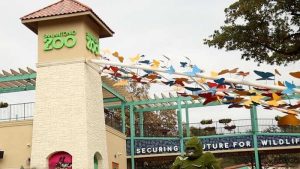 San Antonio Zoo Offers Discounted Admission