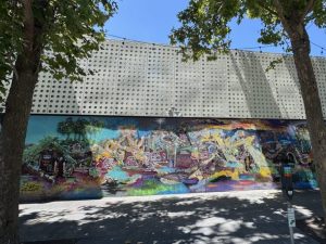 San Francisco Approves Cannabis Cafes