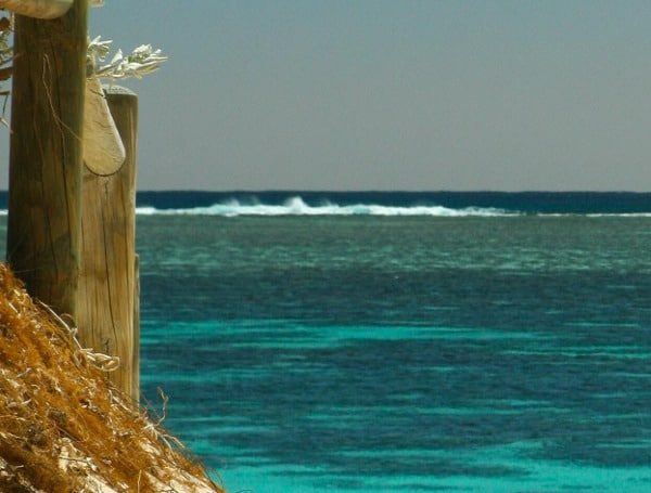 Search Underway For Swimmer Missing In Gulf