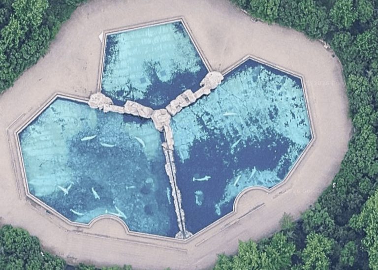 Seaworld San Antonio To Rescue Stranded Beluga Whales