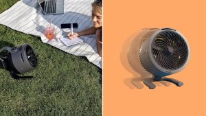 Shark Misting Fan On Sale